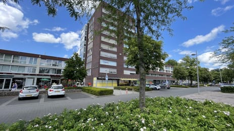 undefined main image