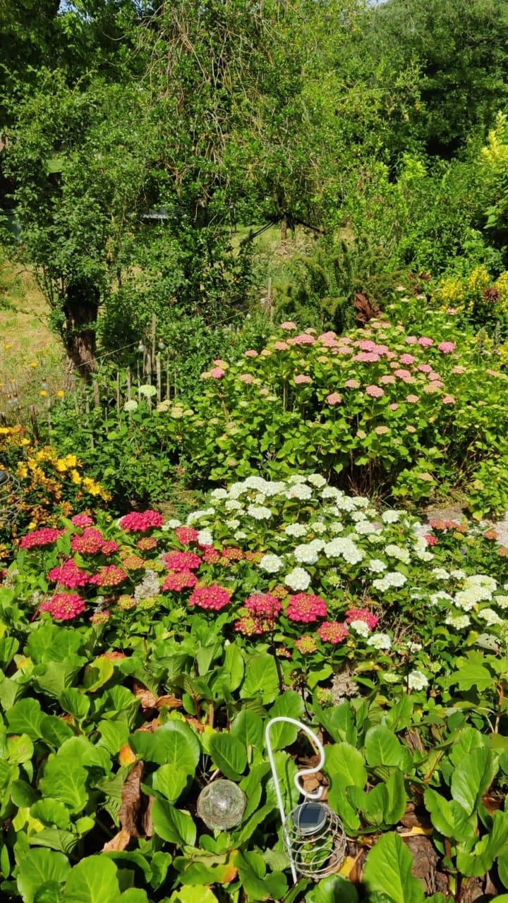 Foto 53 van Hellebroek 67