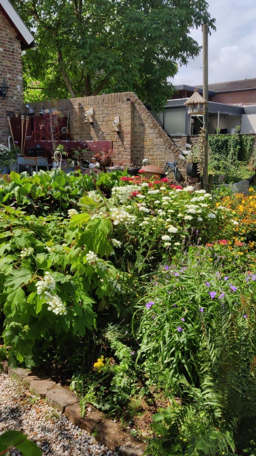 Foto 54 van Hellebroek 67