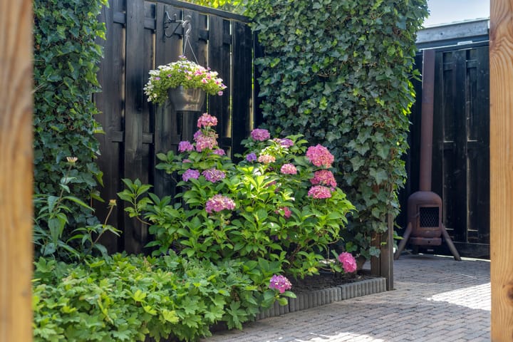 Foto 34 van Johannes van Zantenplein 17