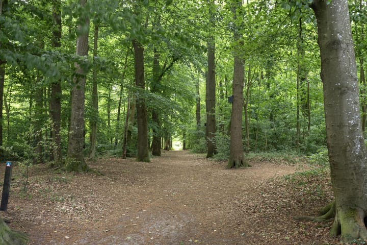 Photo 39 of Boslaan 22