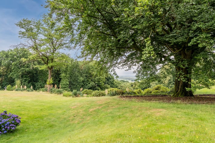 Photo 40 of Oude Kleefsebaan 307