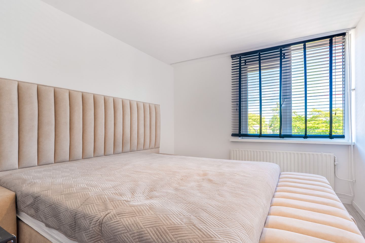 Foto 35 van Pallas 21