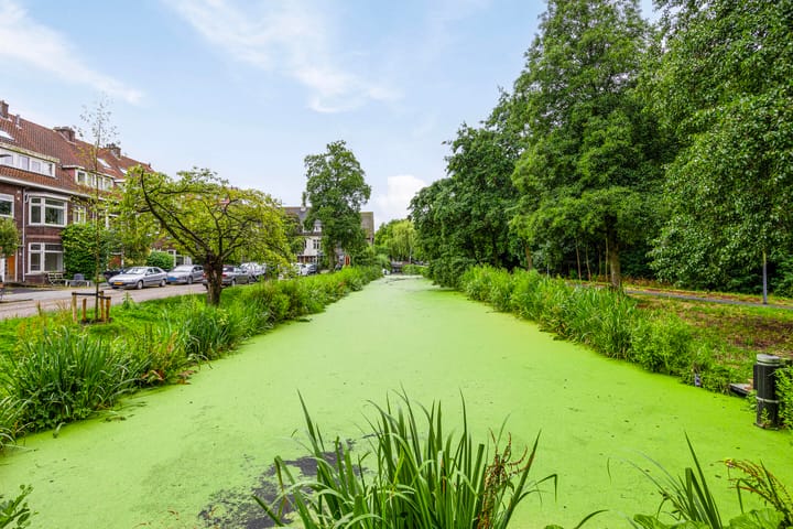 Foto 21 van Van den Hoonaardsingel 32-A