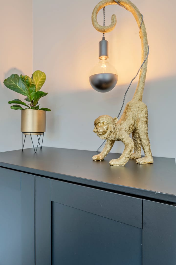 Foto 15 van Koningspage 62