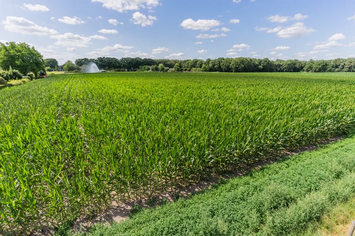 Foto 46 van Boekweitstraat 22