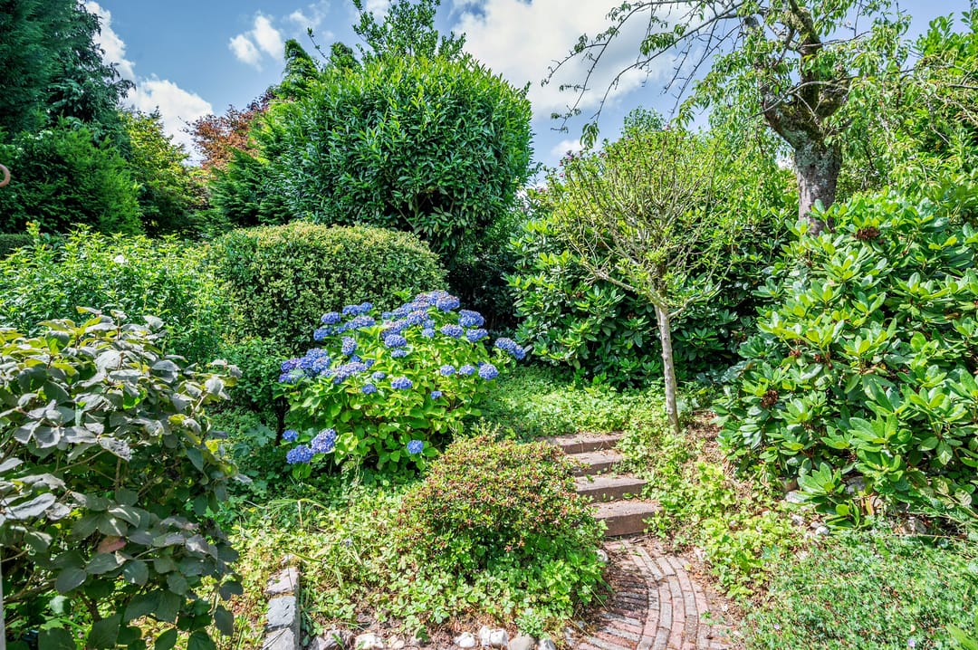 Photo 41 of Liviuslaan 8