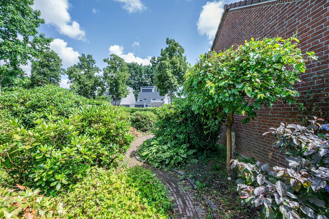 Photo 46 of Liviuslaan 8