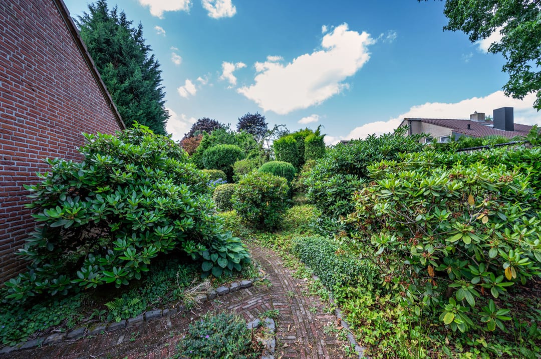 Photo 47 of Liviuslaan 8