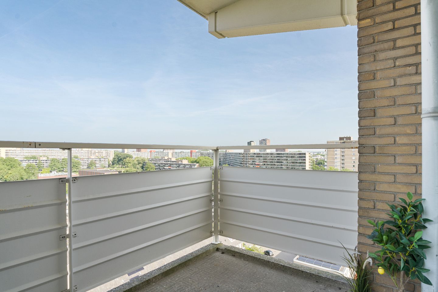 Foto 20 van Alexanderstraat 175