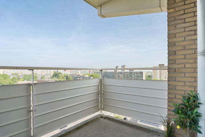 Foto 20 van Alexanderstraat 175