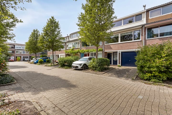 Foto 41 van Schout 14