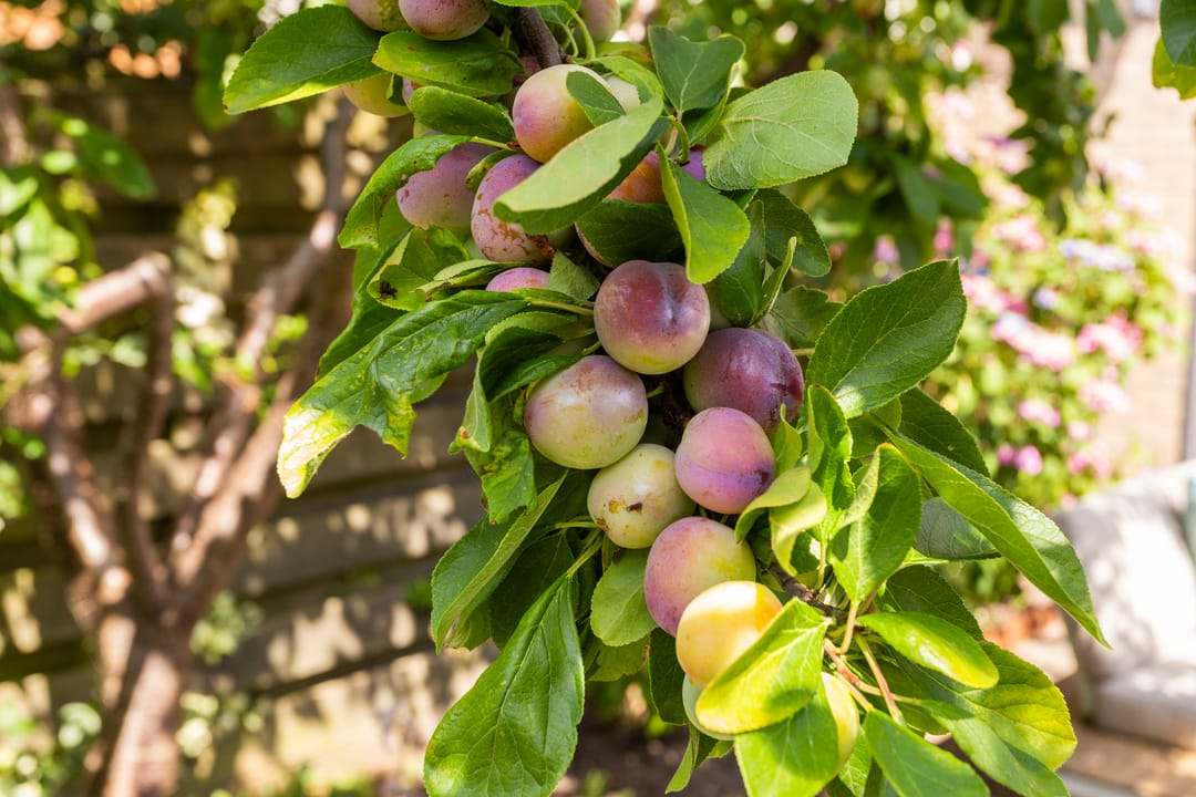 Photo 31 of Karperstraat 38