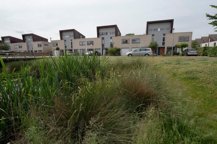 Photo 3 of Nescioplantsoen 2