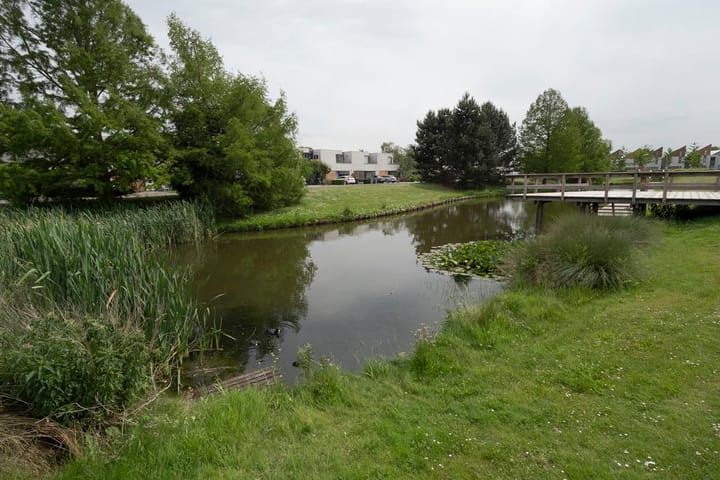 Photo 4 of Nescioplantsoen 2