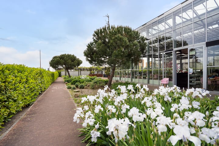 Foto 55 van Schippersstraat 31