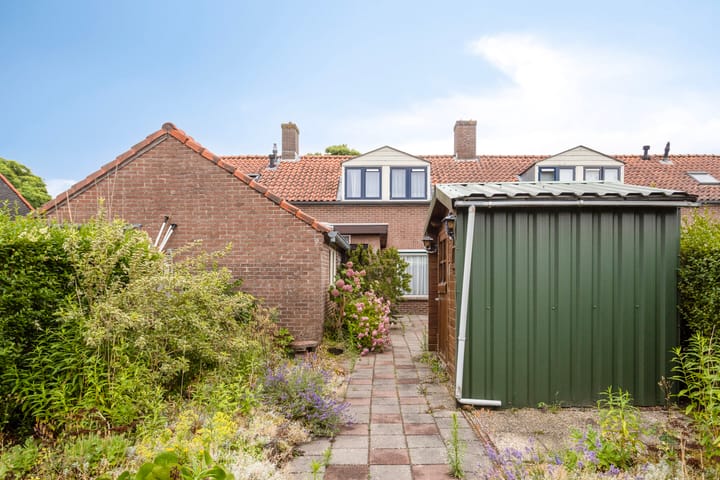 Foto 20 van Steinstraat 16