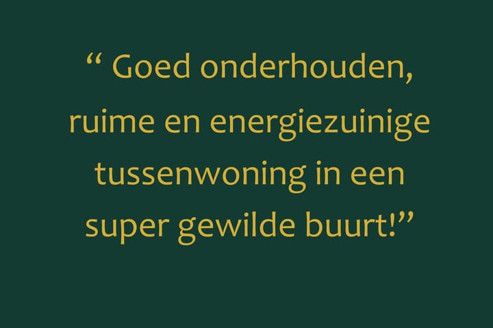 Foto 7 van Suezpad 53