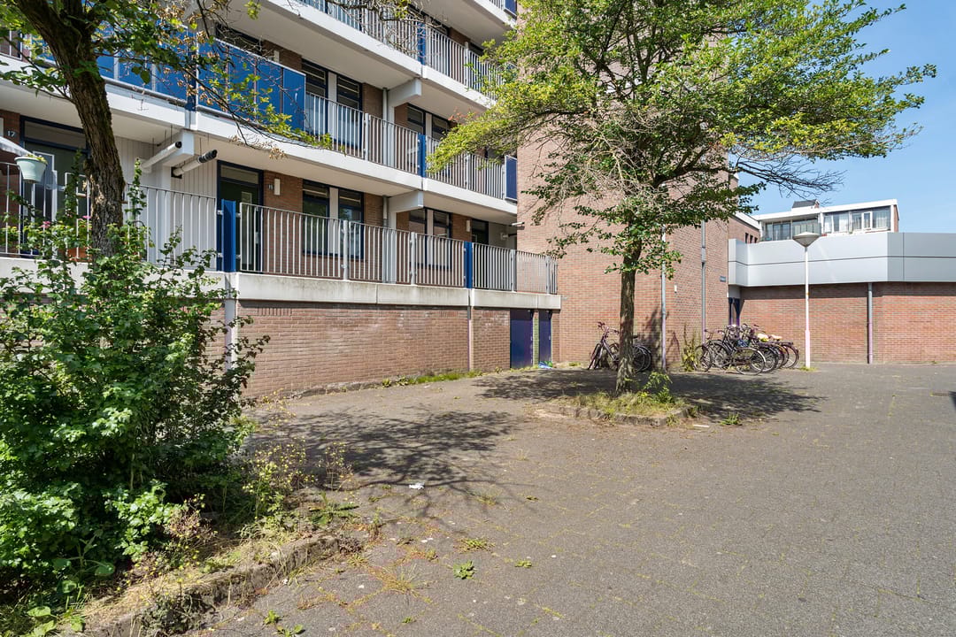 Foto 7 van Peter Zuidhove 13