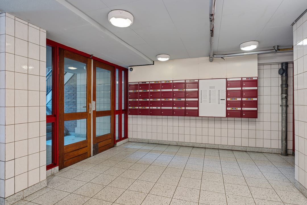 Foto 8 van Peter Zuidhove 13