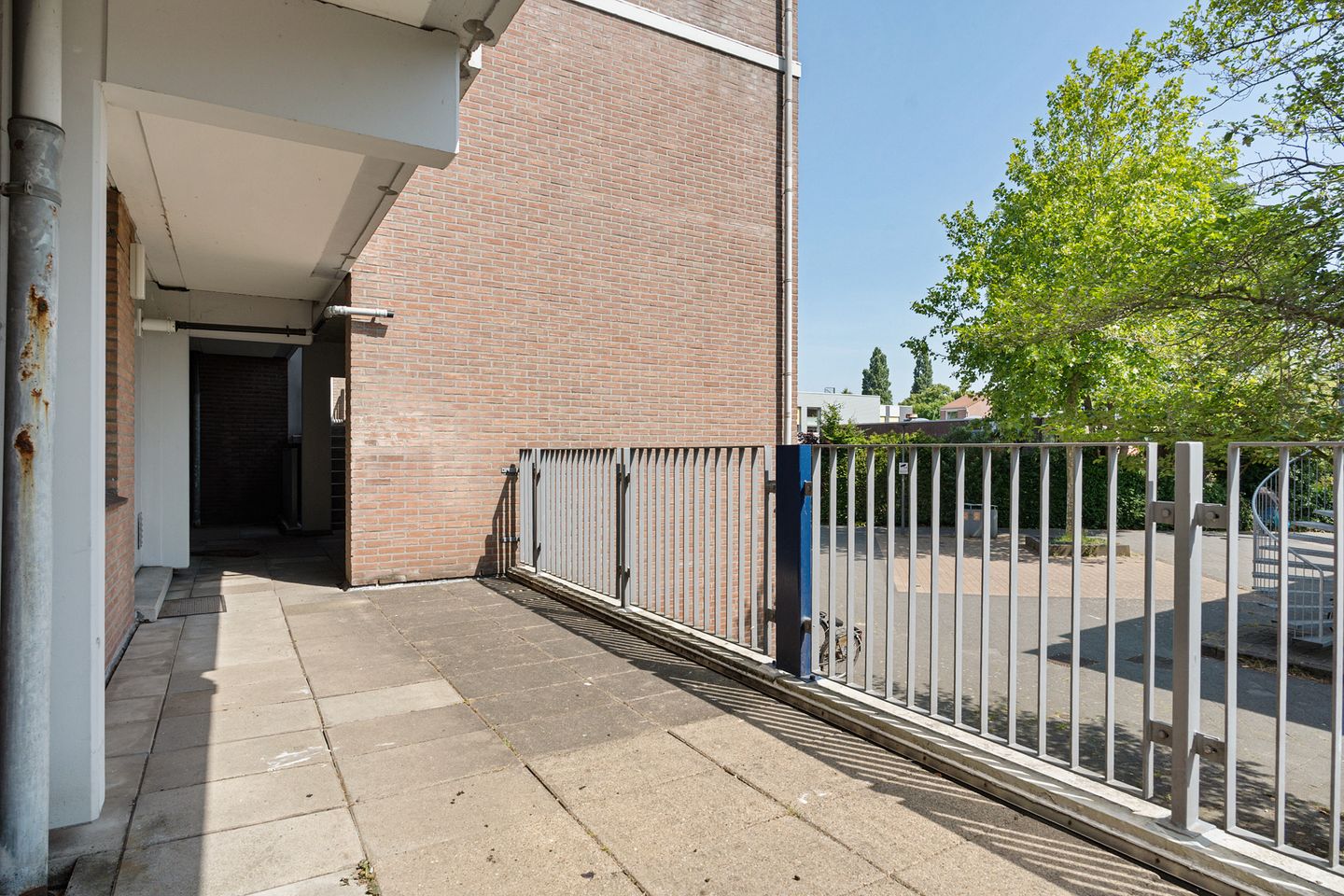 Foto 10 van Peter Zuidhove 13