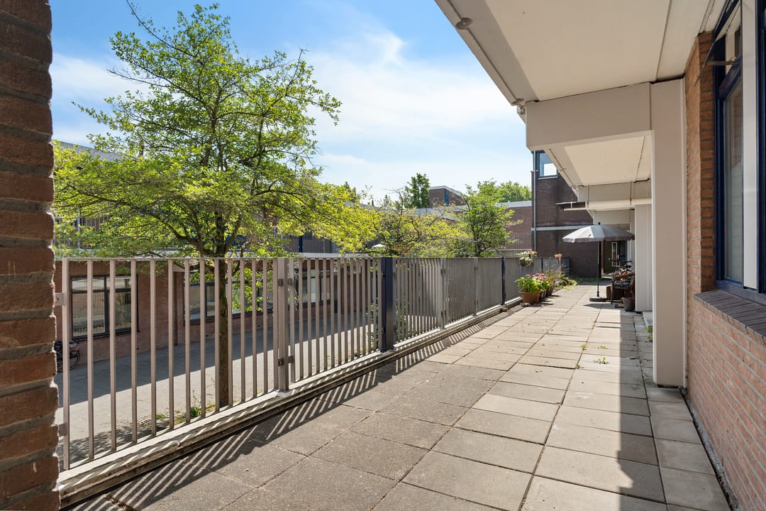 Foto 11 van Peter Zuidhove 13