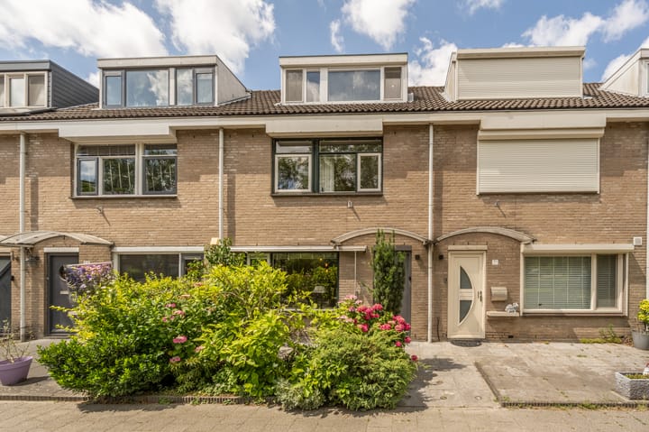 Foto 49 van Suezpad 53