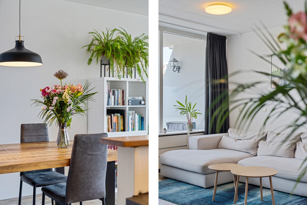 Foto 16 van Peter Zuidhove 13