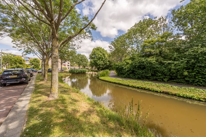 Foto 50 van Suezpad 53