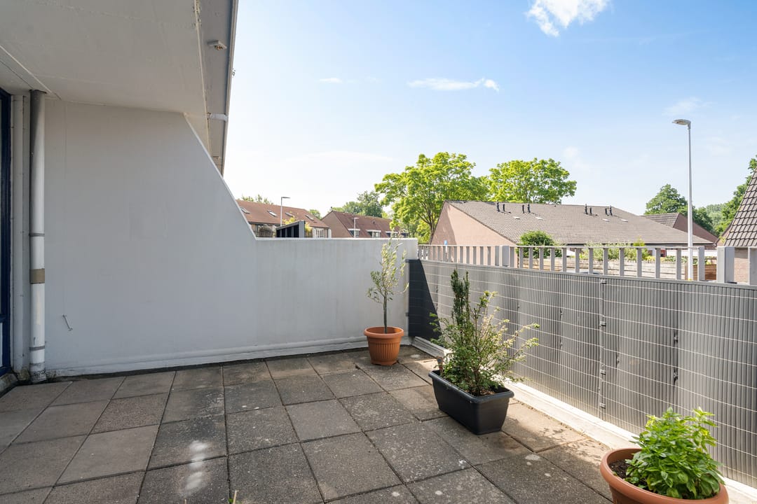 Foto 22 van Peter Zuidhove 13