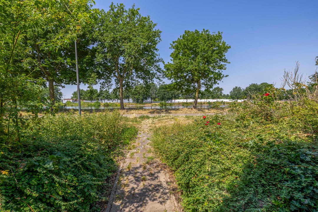 Photo 37 of Impalalaan 20