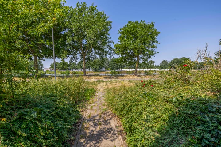 Photo 37 of Impalalaan 20