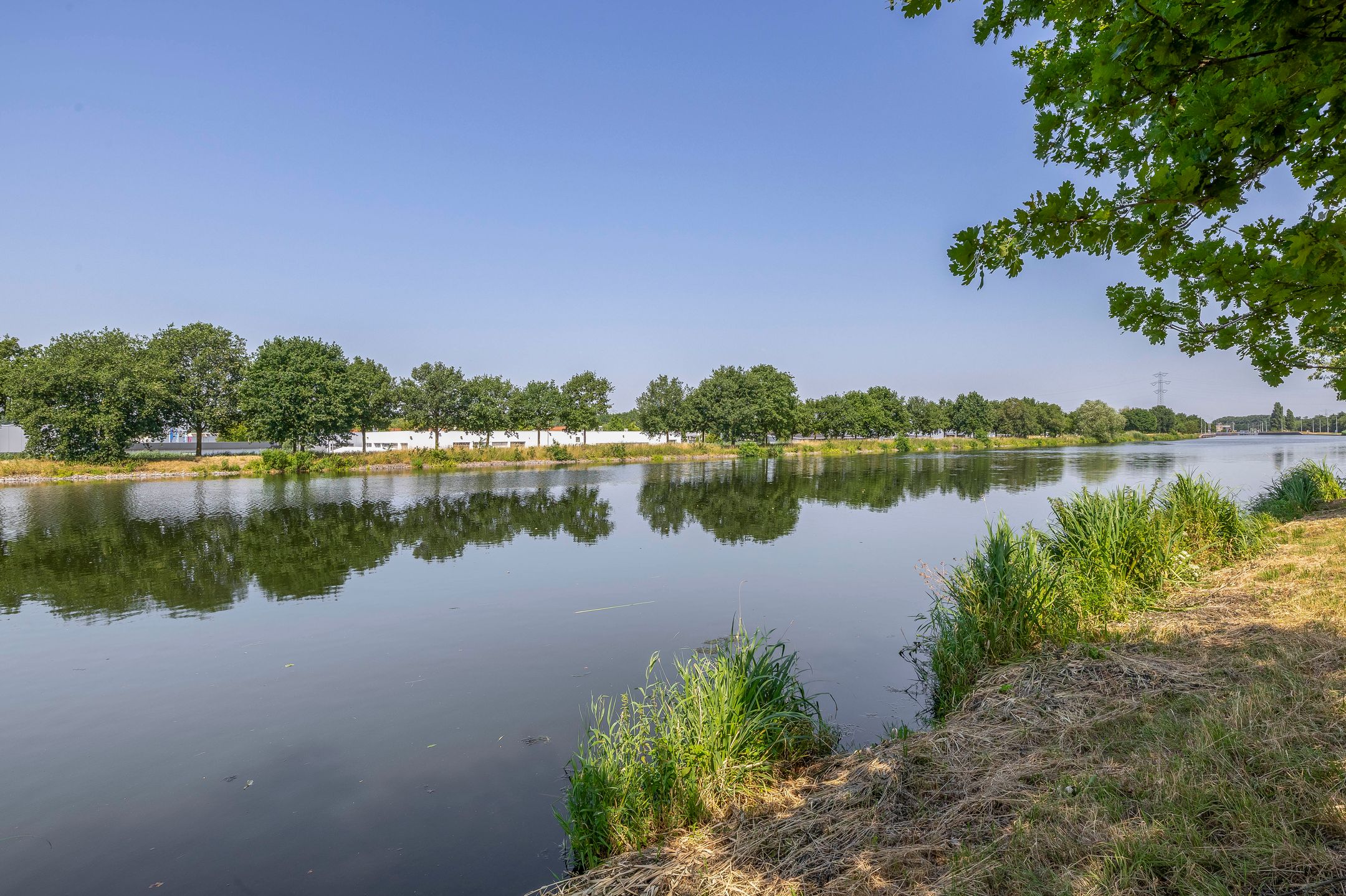 Photo 39 of Impalalaan 20