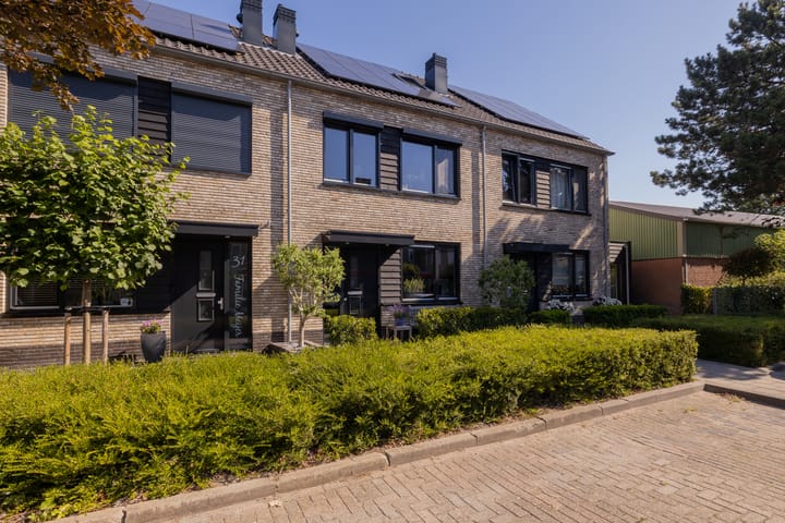 Foto 50 van Trompet 33