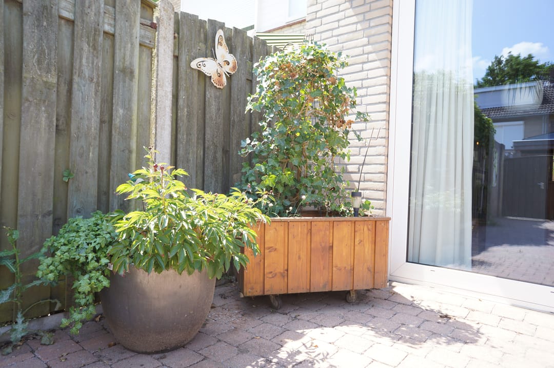 Foto 16 van Noordenbos 31