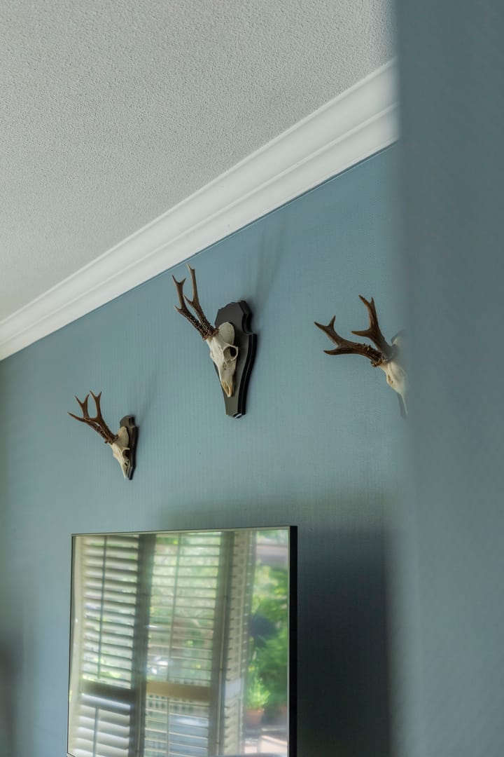 Photo 13 of Riederare 3