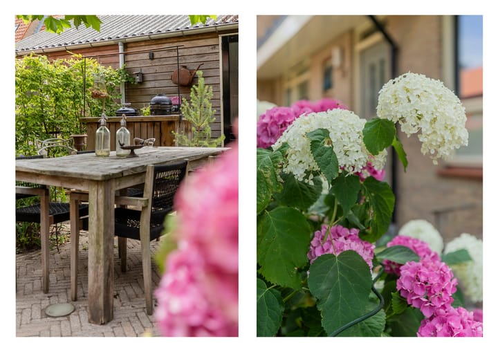 Photo 44 of Riederare 3