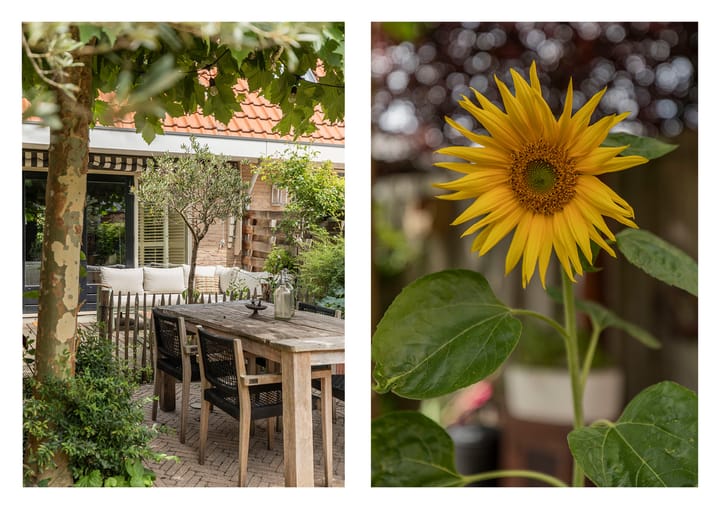 Photo 46 of Riederare 3