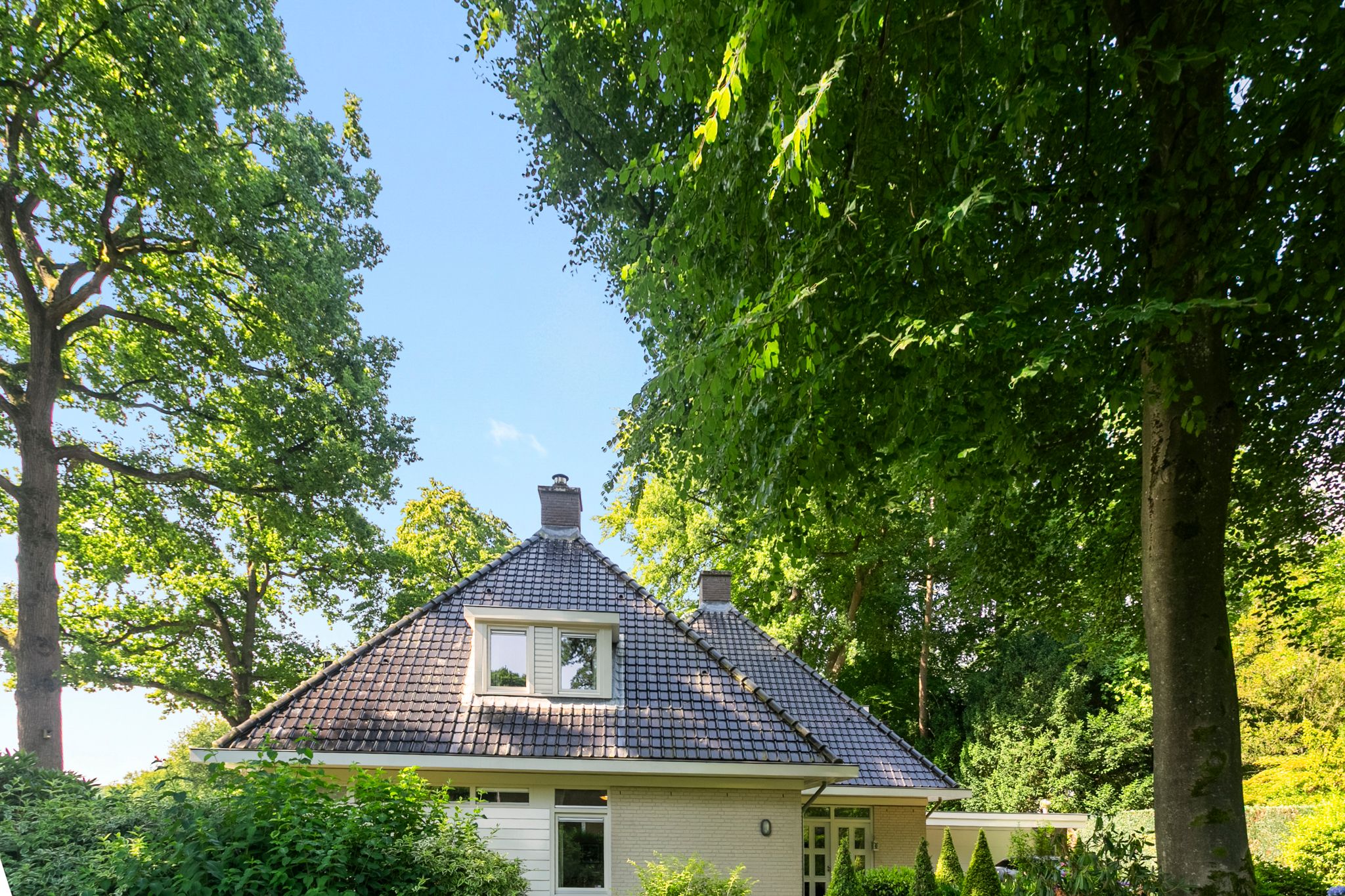 Foto 48 van Domeinweg 6