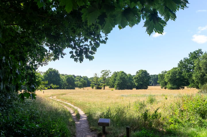 Foto 56 van Domeinweg 6