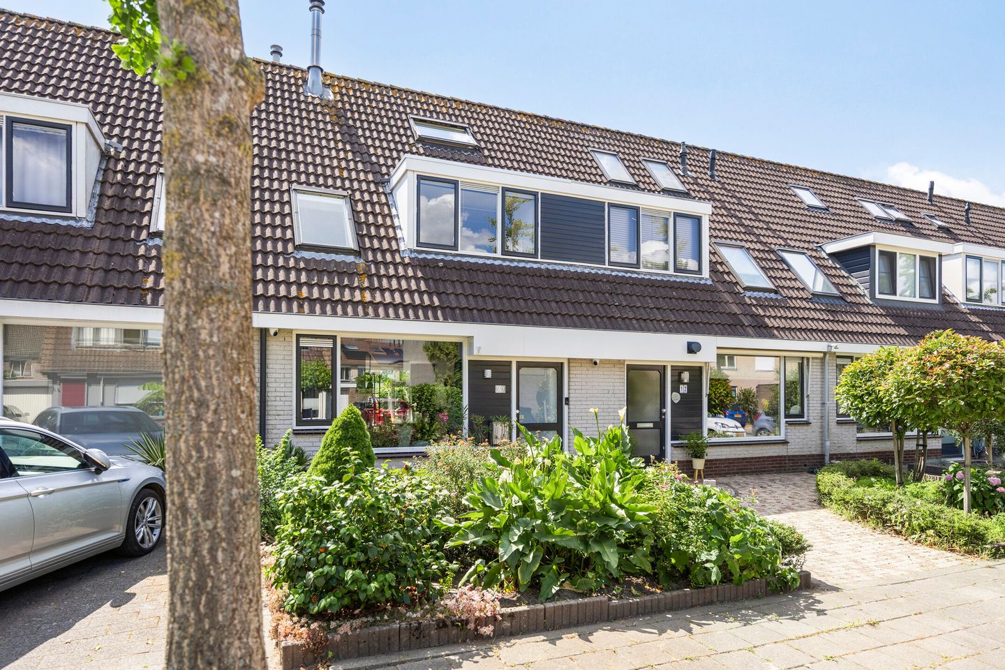 Foto 1 van Bereklauw 10