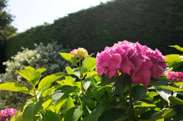 Foto 14 van De Witte Raaflaan 24