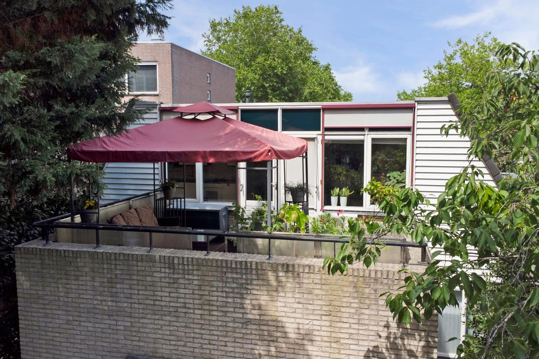 Foto 1 van Dukdalf 1-D