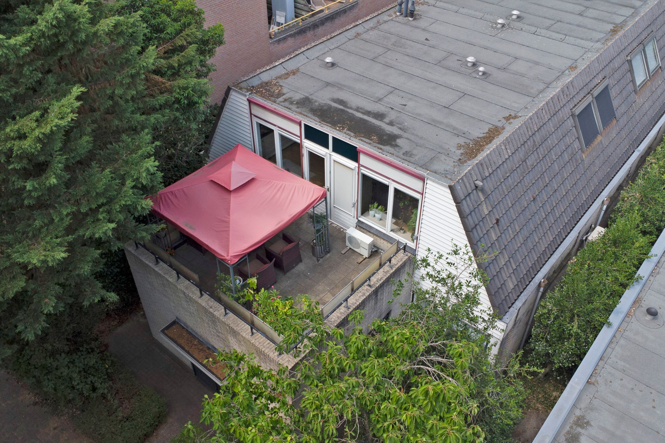 Foto 24 van Dukdalf 1-D