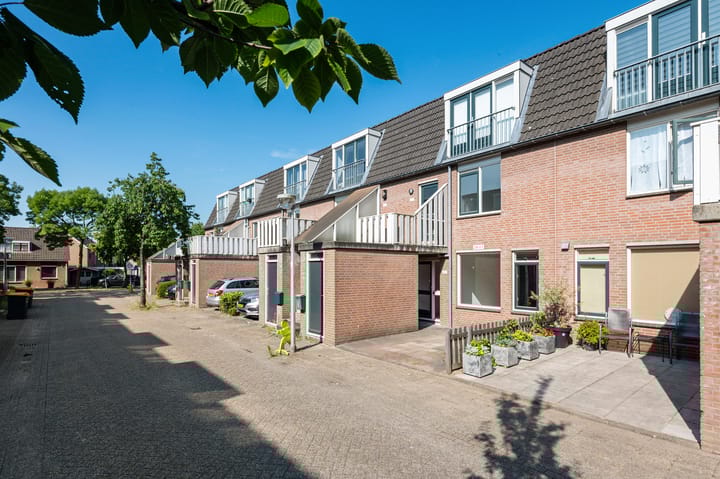 Foto 2 van Crosestein 2017