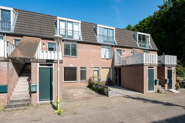 Foto 3 van Crosestein 2017