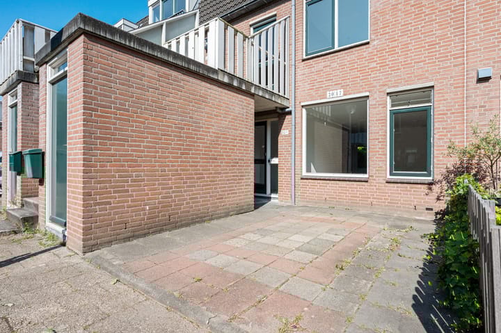 Foto 4 van Crosestein 2017