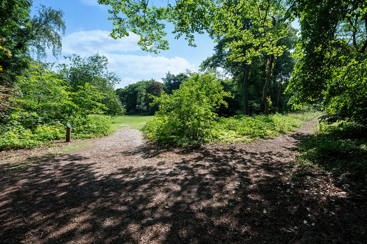 Foto 26 van Crosestein 2017