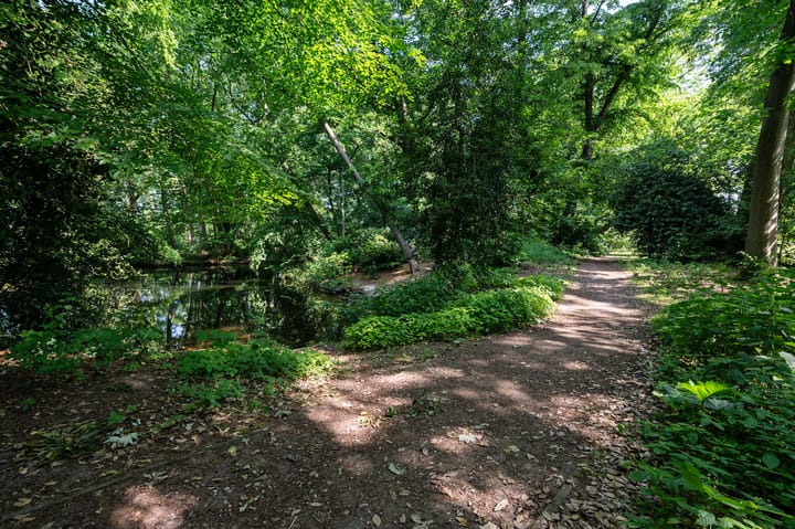 Foto 27 van Crosestein 2017