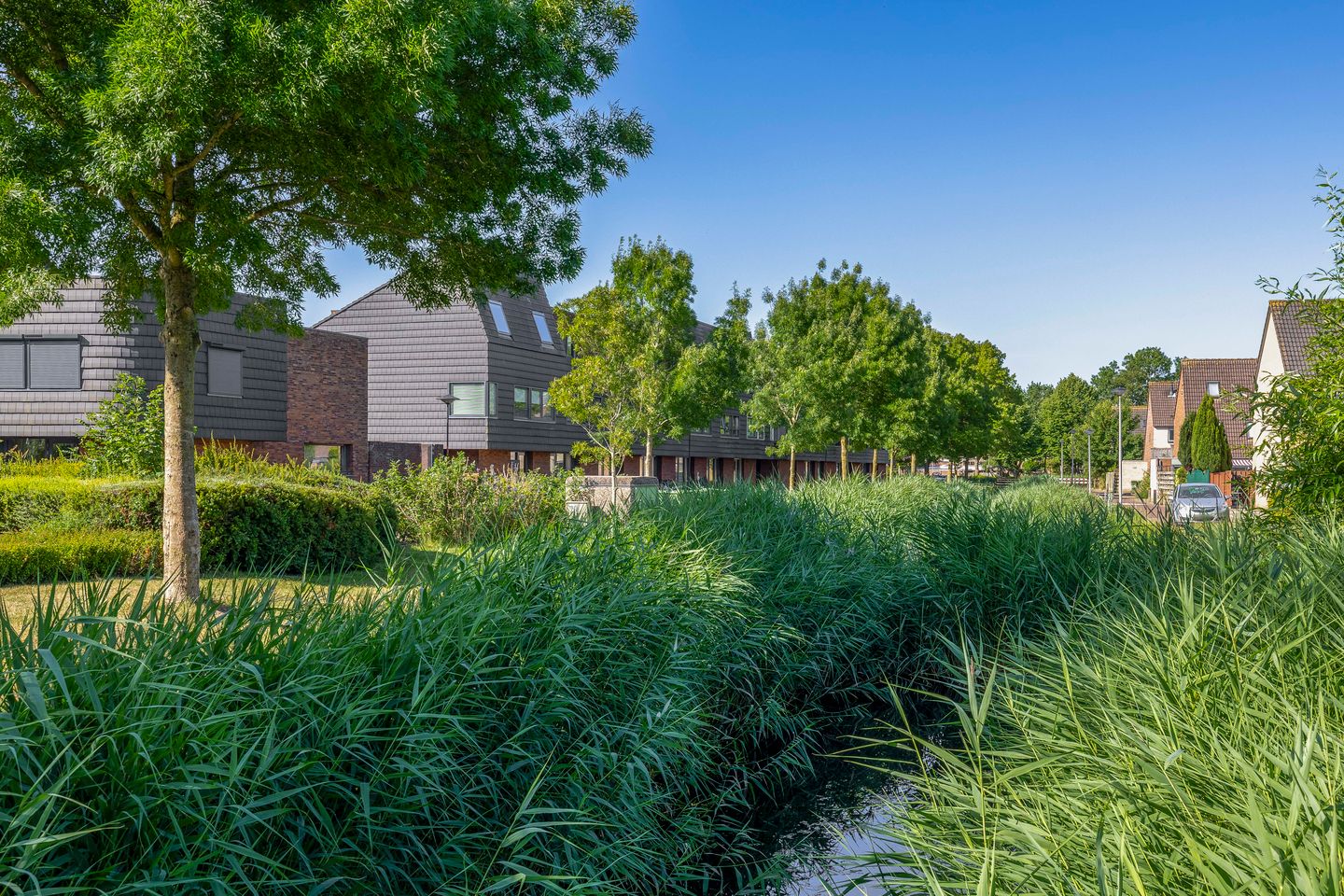 Foto 25 van Stampioenstraat 113